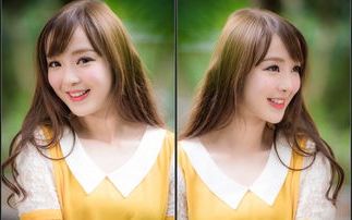 ia_300000620.jpg