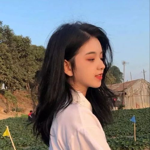 ia_200001124.jpg